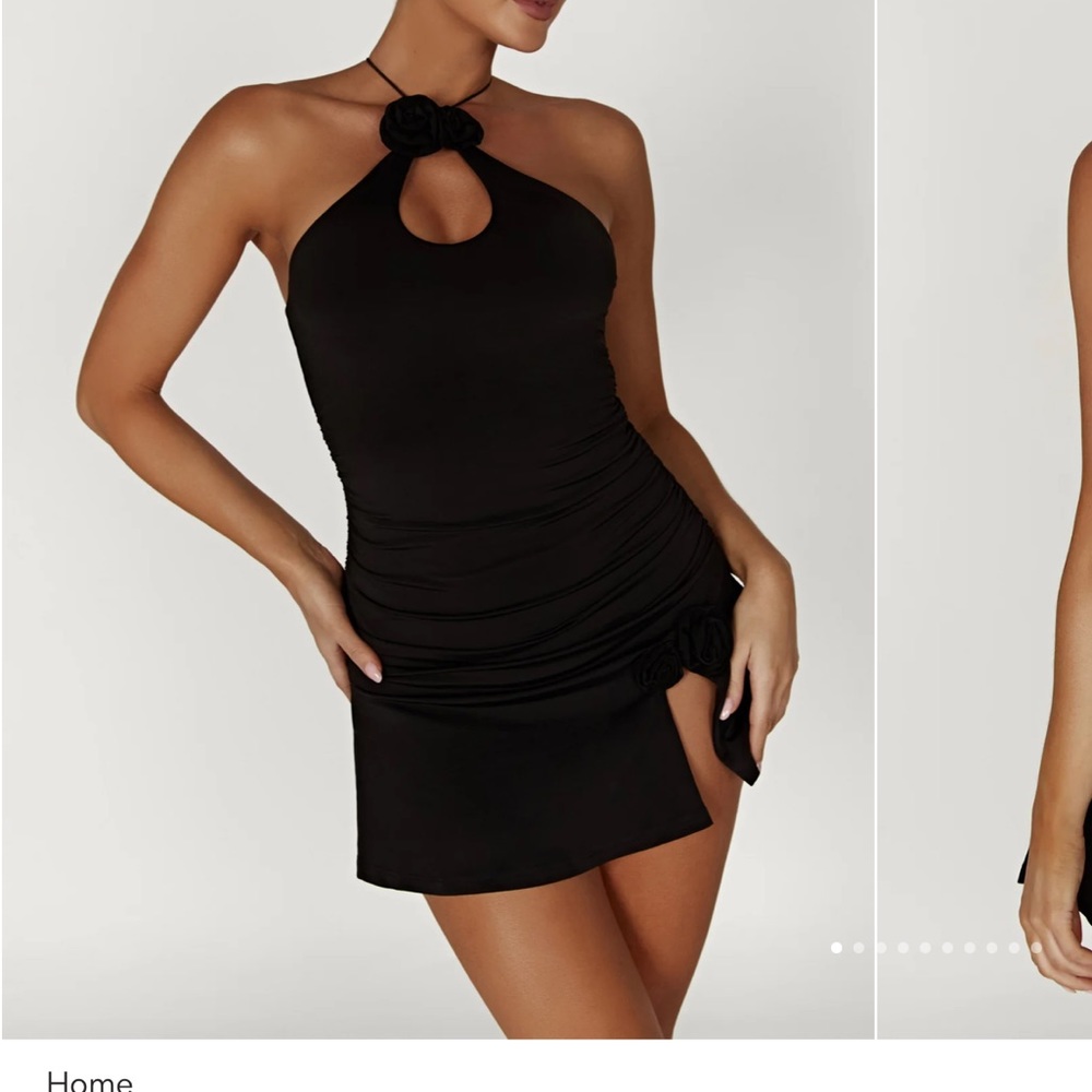 Meshki Rose Mini Dress